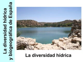 La diversidad hídrica y biogeográfica de España La diversidad hídrica 