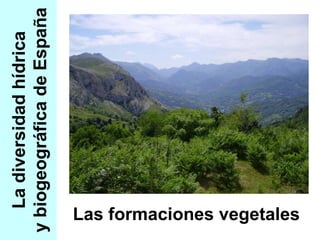 La diversidad hídrica y biogeográfica de España Las formaciones vegetales 