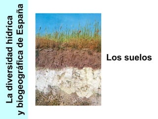 La diversidad hídrica y biogeográfica de España Los suelos 