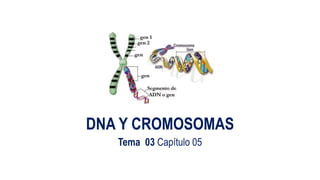 DNA Y CROMOSOMAS
Tema 03 Capítulo 05
 