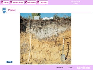 INICIO

PRESENTACIÓN

RECURSOS

GEOGRAFÍA
TEMA 4

INTERNET

Podsol

Doc.3
ANTERIOR

SALIR

Santillana

 