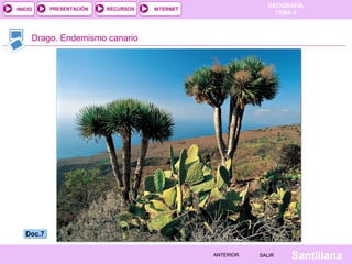INICIO

PRESENTACIÓN

RECURSOS

GEOGRAFÍA
TEMA 4

INTERNET

Drago. Endemismo canario

Doc.7
ANTERIOR

SALIR

Santillana

 