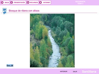 INICIO

PRESENTACIÓN

RECURSOS

GEOGRAFÍA
TEMA 4

INTERNET

Bosque de ribera con alisos

Doc.29
ANTERIOR

SALIR

Santillana

 