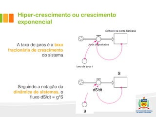 Hiper-crescimento ou crescimento
exponencial
A taxa de juros é a taxa
fracionária de crescimento
do sistema
Seguindo a notação da
dinâmica de sistemas, o
fluxo dS/dt = g*S
S
dS/dt
g
 