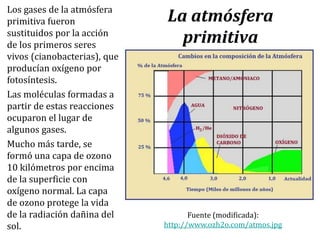 La atmósfera
primitiva
Los gases de la atmósfera
primitiva fueron
sustituidos por la acción
de los primeros seres
vivos (cianobacterias), que
producían oxígeno por
fotosíntesis.
Las moléculas formadas a
partir de estas reacciones
ocuparon el lugar de
algunos gases.
Mucho más tarde, se
formó una capa de ozono
10 kilómetros por encima
de la superficie con
oxígeno normal. La capa
de ozono protege la vida
de la radiación dañina del
sol.
Fuente (modificada):
http://www.ozh2o.com/atmos.jpg
 