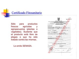 Sólo para productos
frescos agrícolas y
agropecuarios (plantas o
vegetales). Sustenta que
el producto está libre de
plagas o que ha sido
tratado contra las mismas.
Lo emite SENASA.
Certificado Fitosanitario
 