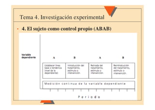 Tema 04 experimental(4)