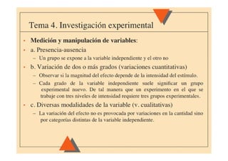 Tema 04 experimental(4)