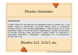Tema 04 experimental(4)