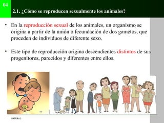 04
      2.1. ¿Cómo se reproducen sexualmente los animales?

• En la reproducción sexual de los animales, un organismo se
...