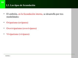 04
      2.3. Los tipos de fecundación


 • El embrión, en la fecundación interna, se desarrolla por tres
   modalidades:
...