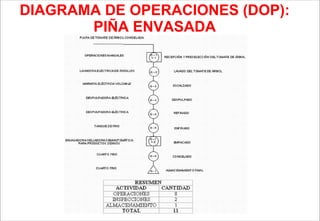 DIAGRAMA DE OPERACIONES (DOP): PIÑA ENVASADA 
