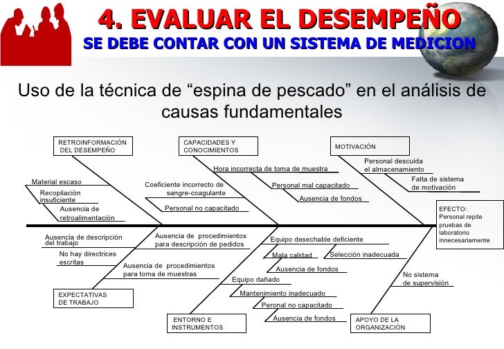 Los parásitos de taylanda en el organismo de la persona