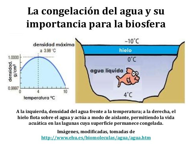 Imatge relacionada