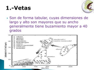  Son de forma tabular, cuyas dimensiones de 
largo y alto son mayores que su ancho 
generalmente tiene buzamiento mayor a 40 
grados 
 