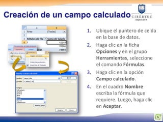 Creación de un campo calculado
                   1. Ubique el puntero de celda
                      en la base de datos.
                   2. Haga clic en la ficha
                      Opciones y en el grupo
                      Herramientas, seleccione
                      el comando Fórmulas.
                   3. Haga clic en la opción
                      Campo calculado.
                   4. En el cuadro Nombre
                      escriba la fórmula que
                      requiere. Luego, haga clic
                      en Aceptar.
 