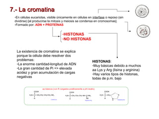 7.- La cromatina
-En células eucariotas, visible únicamente en células en interfase o reposo (sin
dividirse) [al producirse la mitosis y meiosis se condensa en cromosomas].
-Formado por: ADN + PROTEÍNAS

-HISTONAS
-NO HISTONAS
La existencia de cromatina se explica
porque la célula debe resolver dos
problemas:
-La enorme cantidad-longitud de ADN
-La gran cantidad de Pi => elevada
acidez y gran acumulación de cargas
negativas

HISTONAS:
-Muy básicas debido a muchos
aa Lys y Arg (lisina y arginina)
-Hay varios tipos de histonas,
todas de p.m. bajo

 