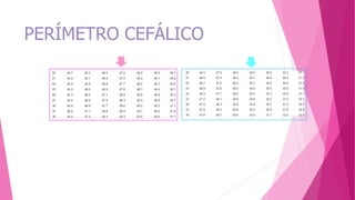 PERÍMETRO CEFÁLICO
 