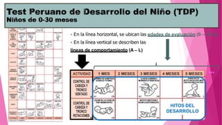  En la línea horizontal, se ubican las edades de evaluación (0 – 30 m)
 En la línea vertical se describen las
líneas de comportamiento (A – L)
HITOS DEL
DESARROLLO
…
 