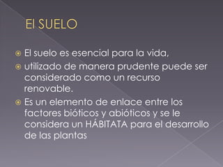  El suelo es esencial para la vida,
 utilizado de manera prudente puede ser
  considerado como un recurso
  renovable.
 Es un elemento de enlace entre los
  factores bióticos y abióticos y se le
  considera un HÁBITATA para el desarrollo
  de las plantas
 