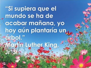 “Si supiera que el
mundo se ha de
acabar mañana, yo
hoy aún plantaría un
árbol.”
Martin Luther King,
Jr“Si
 