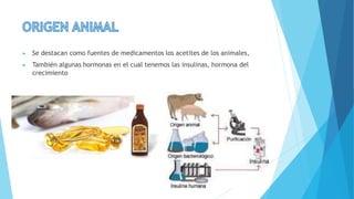 ▶ Se destacan como fuentes de medicamentos los acetites de los animales,
▶ También algunas hormonas en el cual tenemos las insulinas, hormona del
crecimiento
 