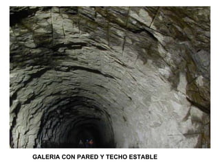 GALERIA CON PARED Y TECHO ESTABLE 
 