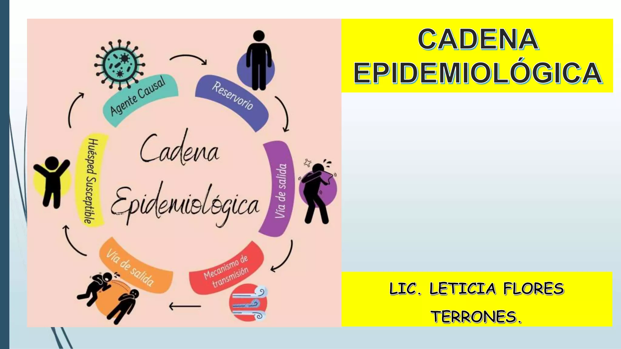 TEMA 06 CADENA EPIDEMIOLOGICA.pptx