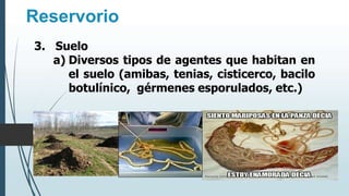 Reservorio
3. Suelo
a) Diversos tipos de agentes que habitan en
el suelo (amibas, tenias, cisticerco, bacilo
botulínico, gérmenes esporulados, etc.)
 