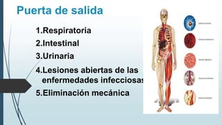 Puerta de salida
1.Respiratoria
2.Intestinal
3.Urinaria
4.Lesiones abiertas de las
enfermedades infecciosas
5.Eliminación mecánica
 