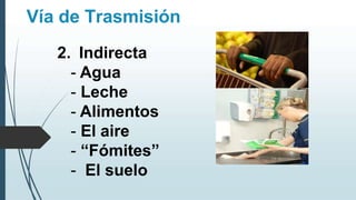 Vía de Trasmisión
2. Indirecta
- Agua
- Leche
- Alimentos
- El aire
- “Fómites”
- El suelo
 
