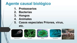 Agente causal biológico
1. Protozoarios
2. Bacterias
3. Hongos
4. Animales
5. Casos especiales Priones, virus,
etc.
 