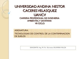 UNIVERSIDAD ANDINA NESTORUNIVERSIDAD ANDINA NESTOR
CACERESVELASQUEZCACERESVELASQUEZ
UANCVUANCV
CARRERA PROFESIONAL DE INGENIERIACARRERA PROFESIONAL DE INGENIERIA
AMBIENTALY SANITARIAAMBIENTALY SANITARIA
VII CICLOVII CICLO
ASIGNATURA:
TECNOLOGIAS DE CONTROL DE LA CONTAMINACION
DE SUELOS
DOCENTE: Ing. M. Sc. Sócrates OLIVERA VILCA
 