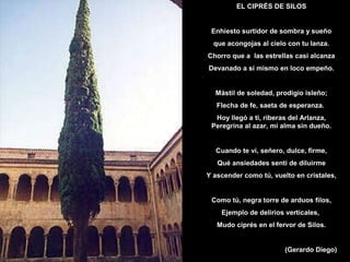 EL CIPRÉS DE SILOS

Enhiesto surtidor de sombra y sueño
que acongojas al cielo con tu lanza.
Chorro que a las estrellas casi alcanza
Devanado a sí mismo en loco empeño.

Mástil de soledad, prodigio isleño;
Flecha de fe, saeta de esperanza.
Hoy llegó a ti, riberas del Arlanza,
Peregrina al azar, mi alma sin dueño.

Cuando te vi, señero, dulce, firme,
Qué ansiedades sentí de diluirme
Y ascender como tú, vuelto en cristales,

Como tú, negra torre de arduos filos,
Ejemplo de delirios verticales,
Mudo ciprés en el fervor de Silos.

(Gerardo Diego)

 