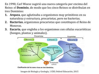 Imagen de Biología y Geología, 1 ESO, Oxford Educación, 2015
En 1990, Carl Woese sugirió una nueva categoría por encima del
Reino: el Dominio, de modo que los cinco Reinos se distribuían en
tres Dominios:
1. Arquea, que aglutinaba a organismos muy primitivos en su
naturaleza y estructura, procariotas, pero no bacterias.
2. Bacterias, organismos procariotas que constituyen el Reino de
Moneras.
3. Eucaria, que engloba a los organismos con células eucarióticas
(hongos, plantas y animales).
 