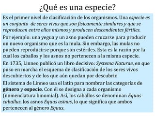 ¿Qué es una especie?
Es el primer nivel de clasificación de los organismos. Una especie es
un conjunto de seres vivos que son físicamente similares y que se
reproducen entre ellos mismos y producen descendientes fértiles.
Por ejemplo: una yegua y un asno pueden cruzarse para producir
un nuevo organismo que es la mula. Sin embargo, las mulas no
pueden reproducirse porque son estériles. Esta es la razón por la
cual los caballos y los asnos no pertenecen a la misma especie.
En 1735, Linneo publicó un libro decisivo: Systema Naturae, en que
puso en marcha el esquema de clasificación de los seres vivos
descubiertos y de los que aún quedan por descubrir.
El sistema de Linneo usa el latín para nombrar las categorías de
género y especie. Con él se designa a cada organismo
(nomenclatura binomial). Así, los caballos se denominan Equus
caballus, los asnos Equus asinus, lo que significa que ambos
pertenecen al género Equus.
 