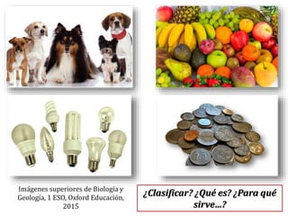 Imágenes superiores de Biología y
Geología, 1 ESO, Oxford Educación,
2015
¿Clasificar? ¿Qué es? ¿Para qué
sirve…?
 