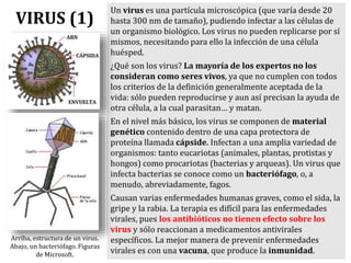 Un virus es una partícula microscópica (que varía desde 20
hasta 300 nm de tamaño), pudiendo infectar a las células de
un organismo biológico. Los virus no pueden replicarse por sí
mismos, necesitando para ello la infección de una célula
huésped.
¿Qué son los virus? La mayoría de los expertos no los
consideran como seres vivos, ya que no cumplen con todos
los criterios de la definición generalmente aceptada de la
vida: sólo pueden reproducirse y aun así precisan la ayuda de
otra célula, a la cual parasitan… y matan.
En el nivel más básico, los virus se componen de material
genético contenido dentro de una capa protectora de
proteína llamada cápside. Infectan a una amplia variedad de
organismos: tanto eucariotas (animales, plantas, protistas y
hongos) como procariotas (bacterias y arqueas). Un virus que
infecta bacterias se conoce como un bacteriófago, o, a
menudo, abreviadamente, fagos.
Causan varias enfermedades humanas graves, como el sida, la
gripe y la rabia. La terapia es difícil para las enfermedades
virales, pues los antibióticos no tienen efecto sobre los
virus y sólo reaccionan a medicamentos antivirales
específicos. La mejor manera de prevenir enfermedades
virales es con una vacuna, que produce la inmunidad.
VIRUS (1)
Arriba, estructura de un virus.
Abajo, un bacteriófago. Figuras
de Microsoft.
 