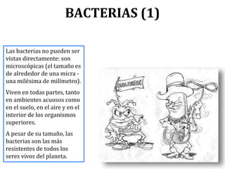BACTERIAS (1)
Las bacterias no pueden ser
vistas directamente: son
microscópicas (el tamaño es
de alrededor de una micra -
una milésima de milímetro).
Viven en todas partes, tanto
en ambientes acuosos como
en el suelo, en el aire y en el
interior de los organismos
superiores.
A pesar de su tamaño, las
bacterias son las más
resistentes de todos los
seres vivos del planeta.
 