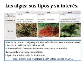 Las algas: sus tipos y su interés.
Además de producir oxígeno y ser fuente de alimento para numerosos seres
vivos, las algas tienen interés industrial:
-Alimentación: Elaboración de comida, como sopas y ensaladas.
-Farmacia. Fabricación de cosméticos.
- Agricultura. Fabricación de fertilizantes.
Imagen de Biología y Geología, 1 ESO, Oxford Educación, 2015
 