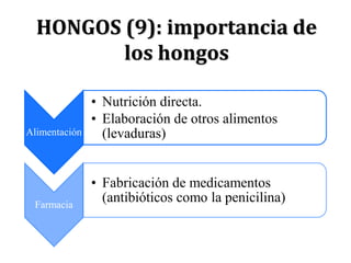 HONGOS (9): importancia de
los hongos
Alimentación
• Nutrición directa.
• Elaboración de otros alimentos
(levaduras)
Farmacia
• Fabricación de medicamentos
(antibióticos como la penicilina)
 