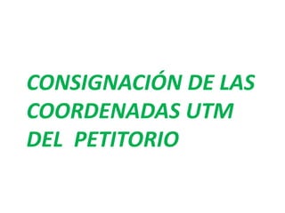 CONSIGNACIÓN DE LAS 
COORDENADAS UTM 
DEL PETITORIO 
 