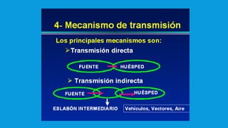 TEMA 07 Y 08 E. TRANSMISIBLES, INFECCIOSAS.pptx