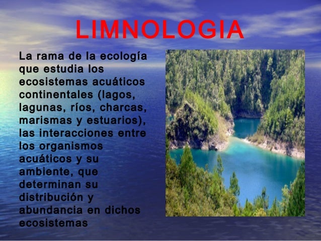 Imagen relacionada