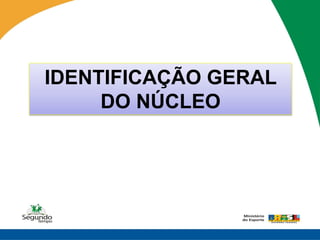 IDENTIFICAÇÃO GERAL
     DO NÚCLEO
 