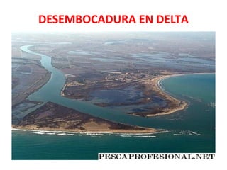 DESEMBOCADURA EN DELTA 
 
