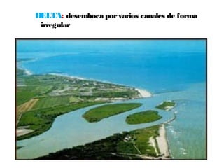 DELTA: desemboca por varios canales de forma 
irregular 
 