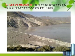D.- LEY DE RELAVE (t) : Es la ley del desperdicio que 
se va al relave y se representa por ‘’t’’ (tail) 
 