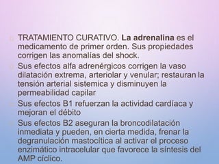 TRATAMIENTO CURATIVO. La adrenalina es el
medicamento de primer orden. Sus propiedades
corrigen las anomalías del shock.
Sus efectos alfa adrenérgicos corrigen la vaso
dilatación extrema, arteriolar y venular; restauran la
tensión arterial sistemica y disminuyen la
permeabilidad capilar
Sus efectos B1 refuerzan la actividad cardíaca y
mejoran el débito
Sus efectos B2 aseguran la broncodilatación
inmediata y pueden, en cierta medida, frenar la
degranulación mastocítica al activar el proceso
enzimático intracelular que favorece la síntesis del
AMP cíclico.
 