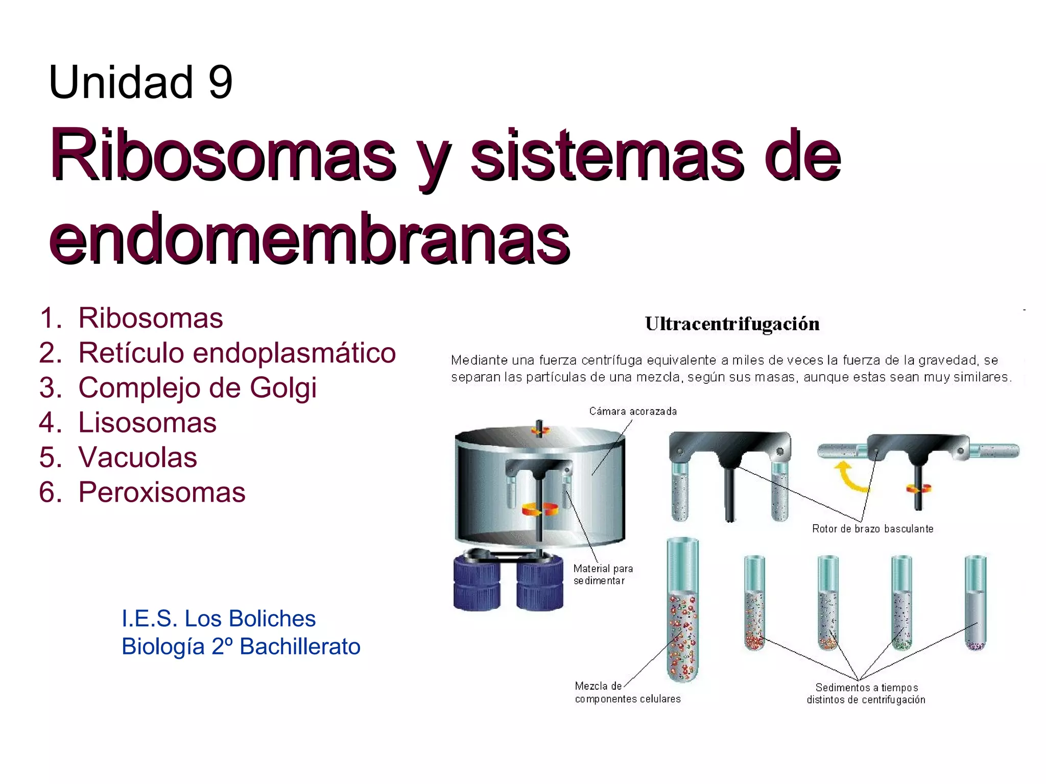 Unidad 9
Ribosomas y sistemas de
endomembranas
1.
2.
3.
4.
5.
6.
Ribosomas
Retículo endoplasmático
Complejo de Golgi
Lisosomas
Vacuolas
Peroxisomas
I.E.S. Los Boliches
Biología 2º Bachillerato